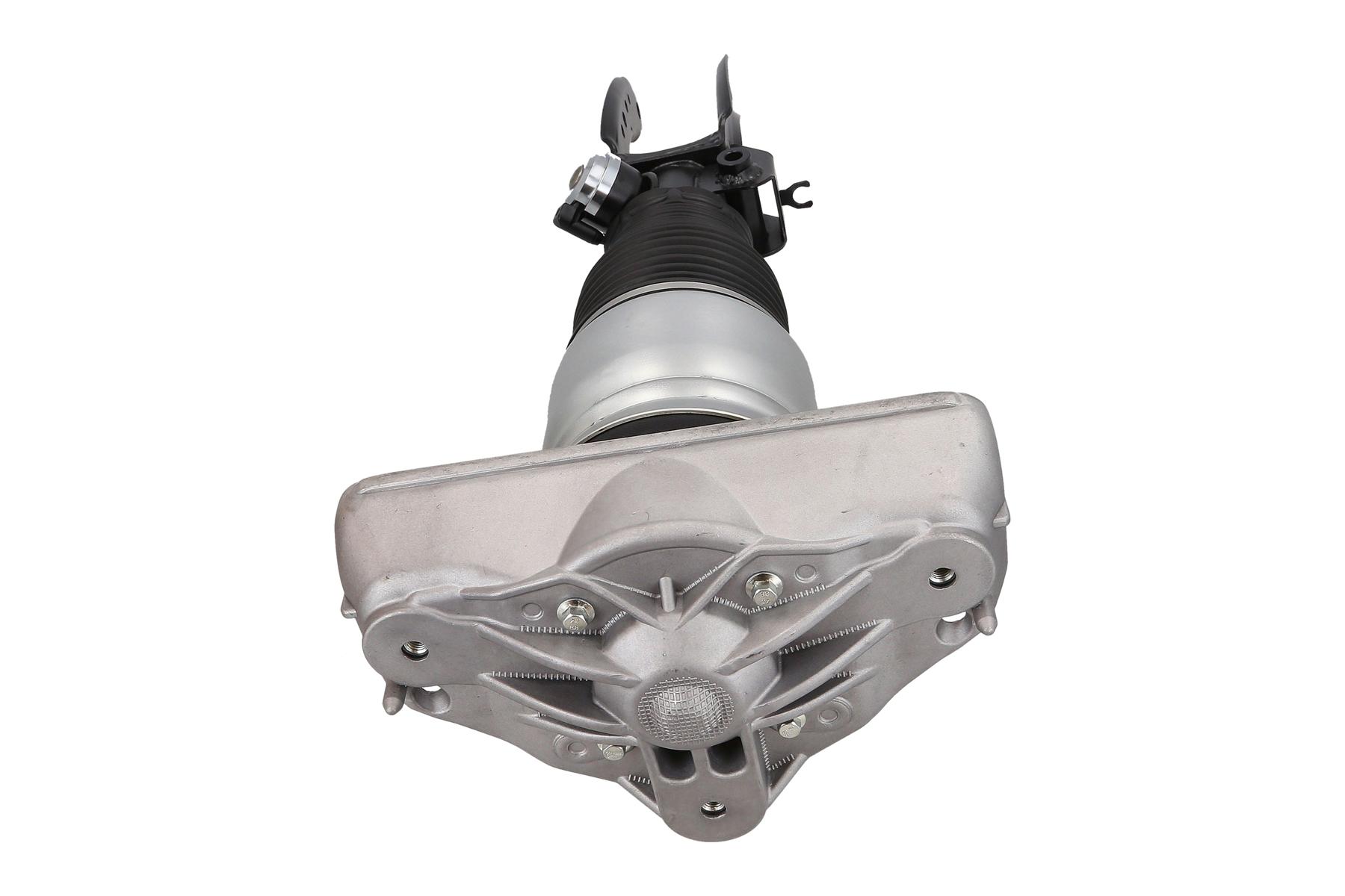 Air Suspension Strut 3