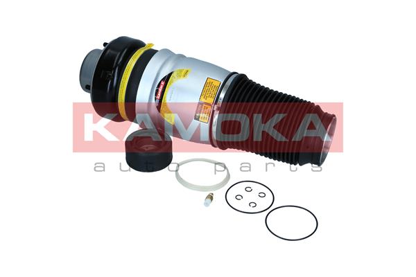 Air Spring, suspension
