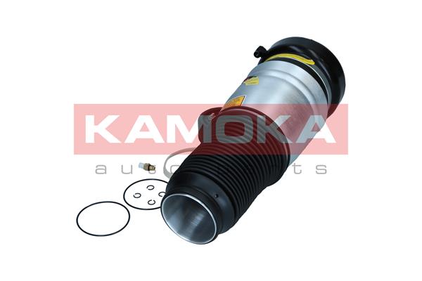 Air Spring, suspension 2