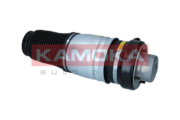 Air Spring, suspension 3