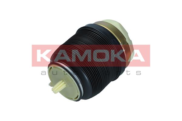 Air Spring, suspension