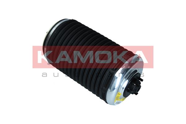 Air Spring, suspension 2