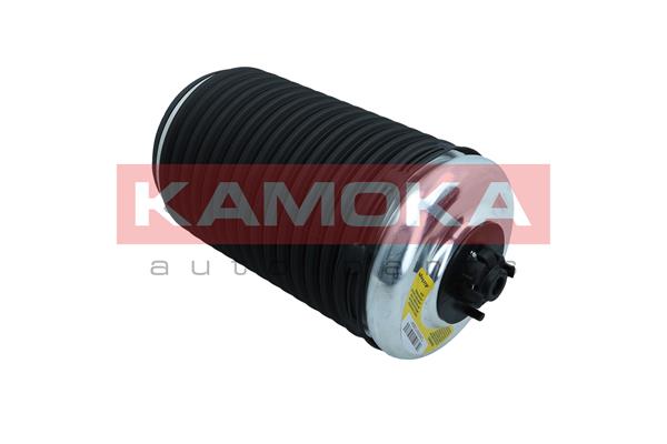Air Spring, suspension