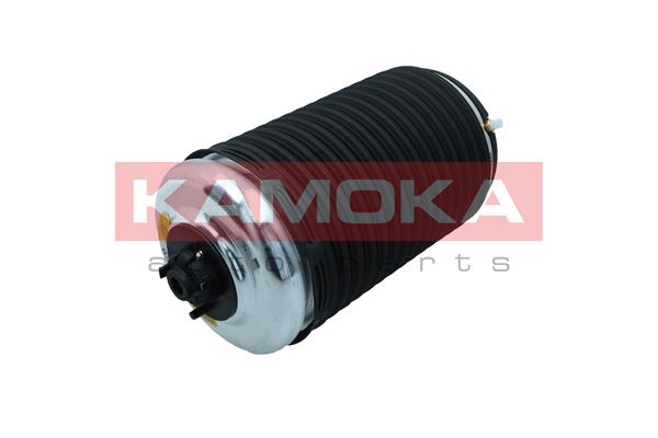 Air Spring, suspension 2