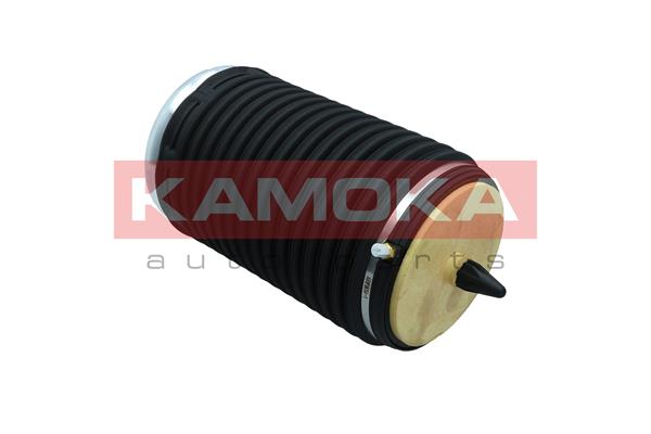 Air Spring, suspension 3