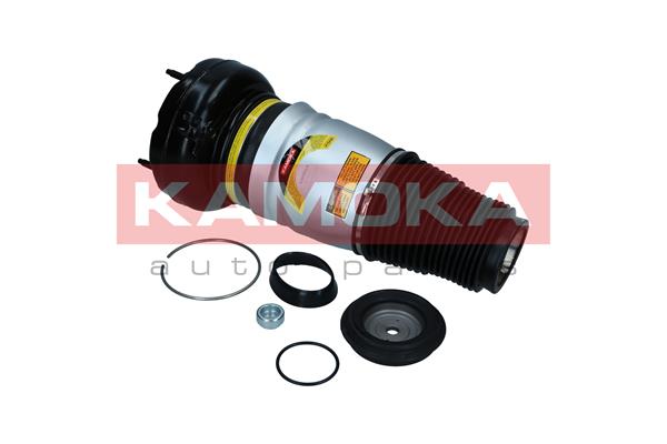 Air Spring, suspension