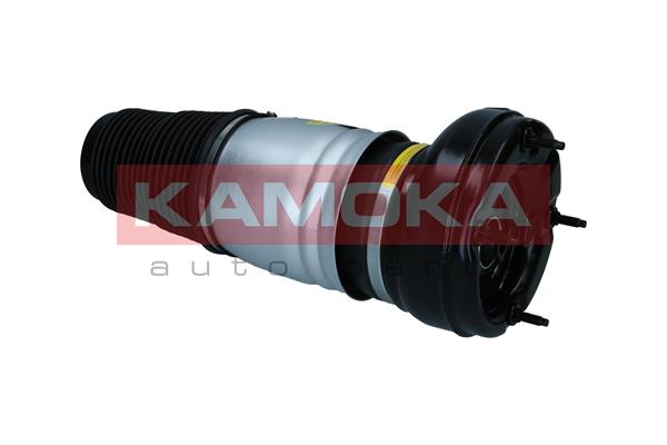 Air Spring, suspension 3