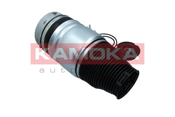 Air Spring, suspension 4