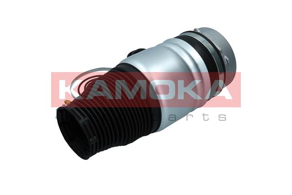Air Spring, suspension 4