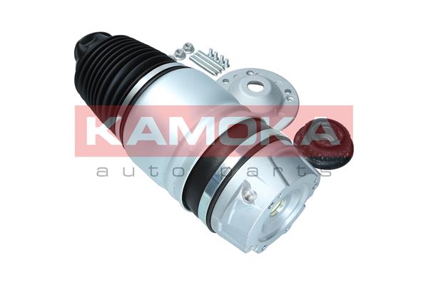 Air Spring, suspension 4