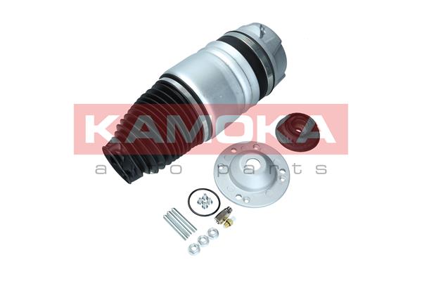 Air Spring, suspension