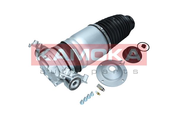 Air Spring, suspension