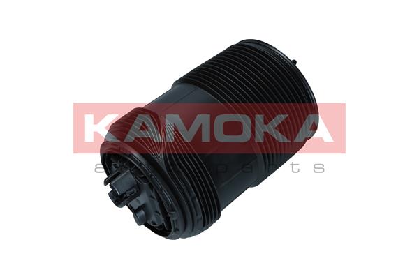 Air Spring, suspension 3