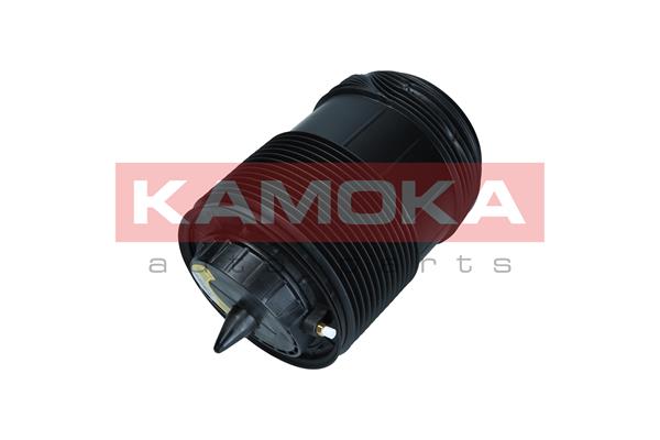 Air Spring, suspension
