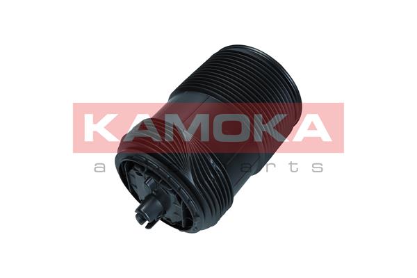 Air Spring, suspension 3