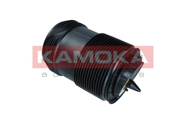 Air Spring, suspension 4