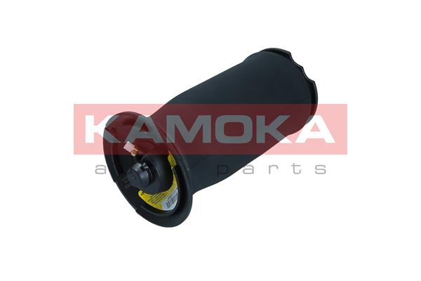 Air Spring, suspension