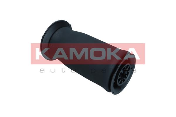 Air Spring, suspension 2