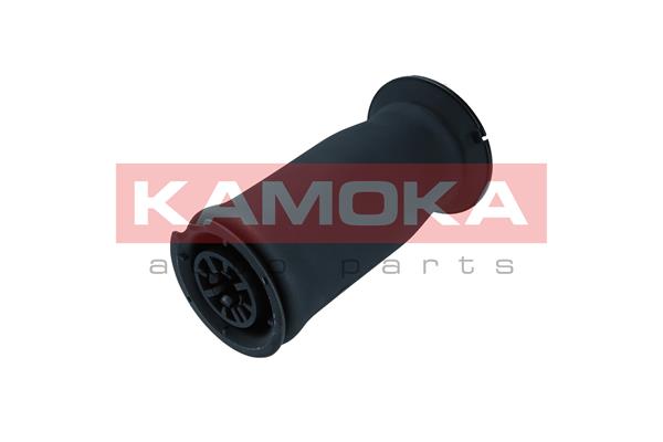Air Spring, suspension 3