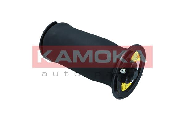 Air Spring, suspension 4