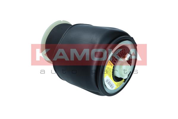 Air Spring, suspension 4