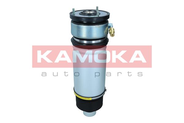 Air Spring, suspension 4