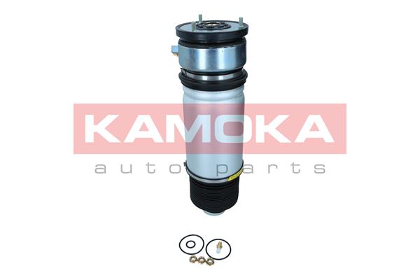 Air Spring, suspension 2