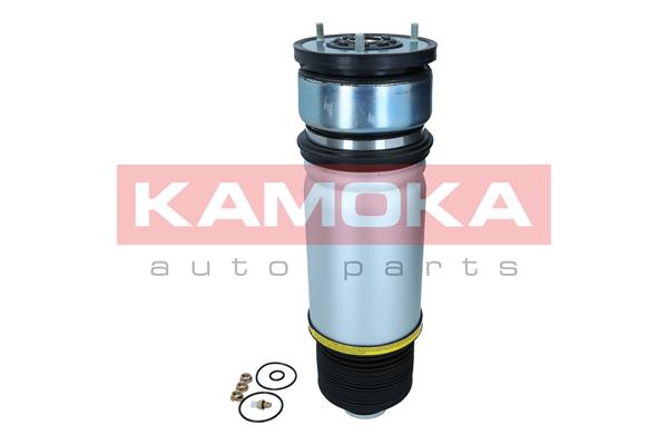 Air Spring, suspension 3