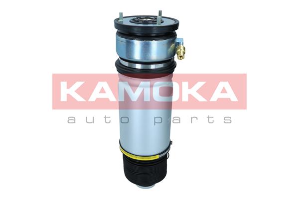 Air Spring, suspension 4