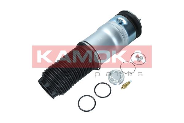 Air Spring, suspension
