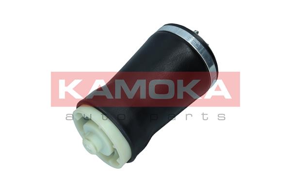 Air Spring, suspension 3