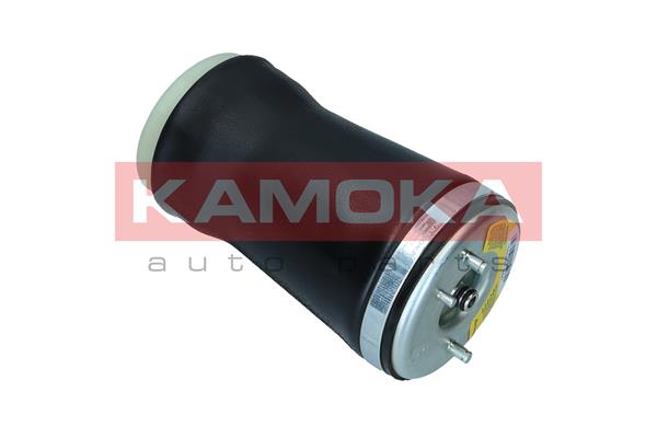 Air Spring, suspension 4