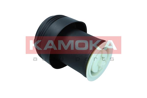 Air Spring, suspension 2