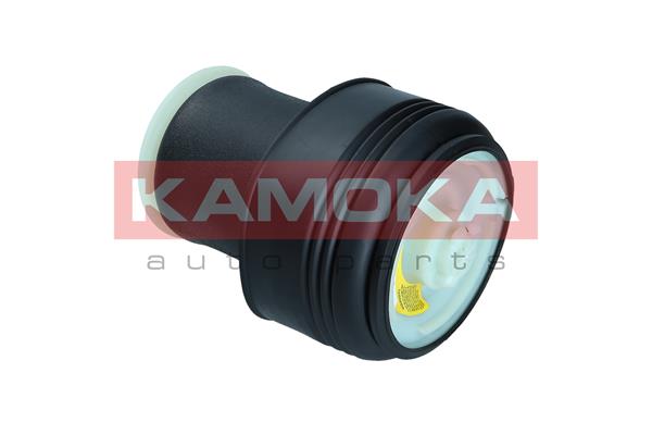 Air Spring, suspension 4
