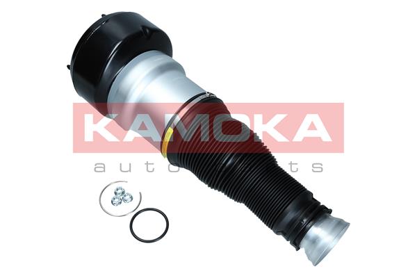 Air Spring, suspension 2