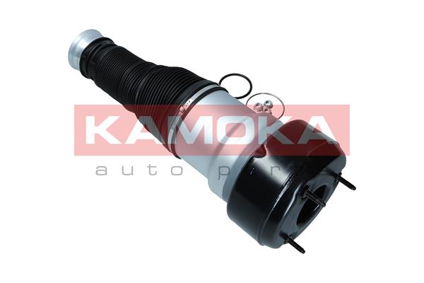 Air Spring, suspension 4