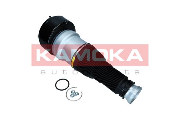 Air Spring, suspension 2