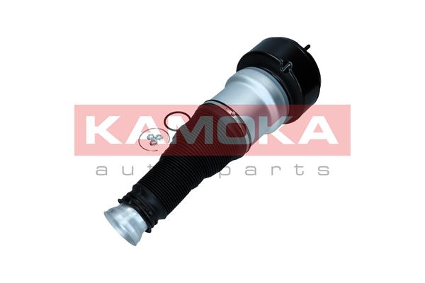 Air Spring, suspension 3