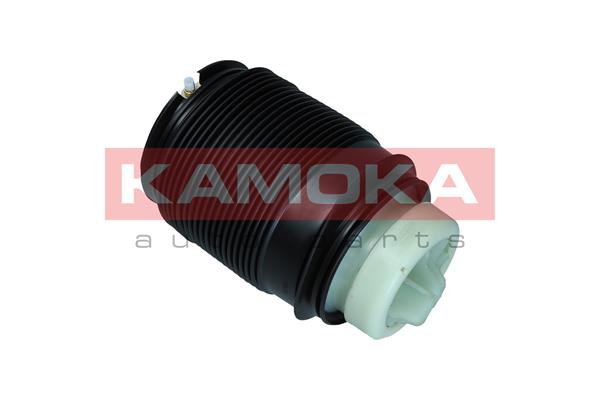 Air Spring, suspension 2