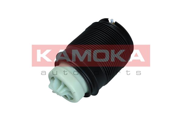 Air Spring, suspension 3