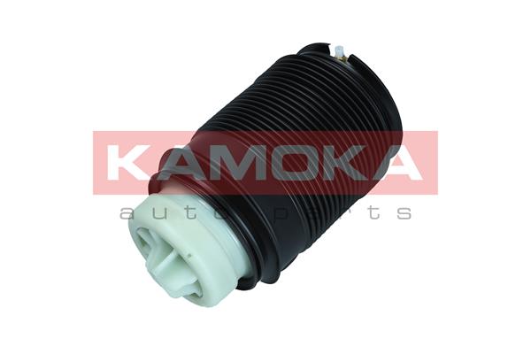 Air Spring, suspension