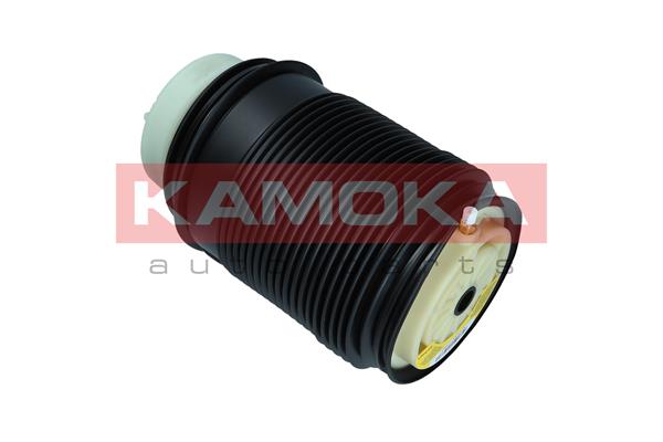 Air Spring, suspension 2