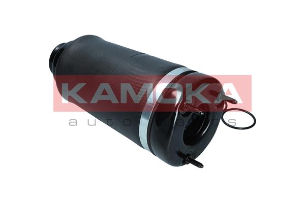 Air Spring, suspension 4
