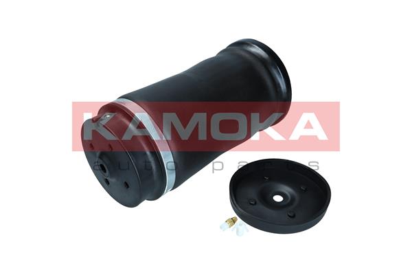 Air Spring, suspension