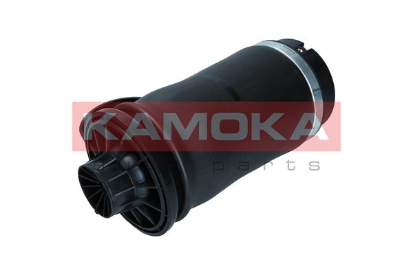 Air Spring, suspension 3
