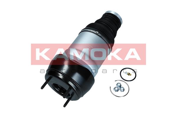 Air Spring, suspension