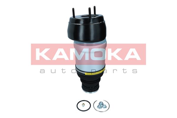 Air Spring, suspension 2