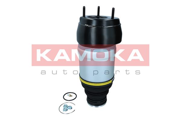 Air Spring, suspension 3