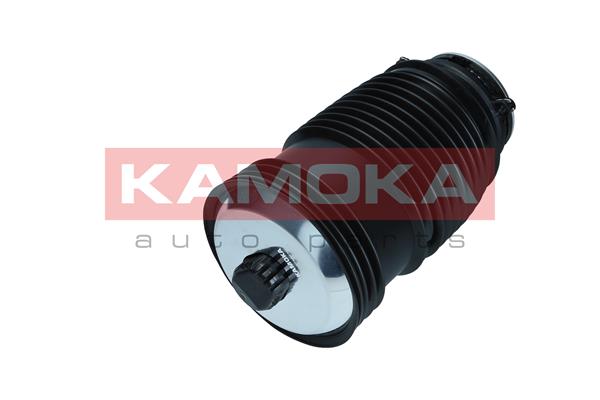Air Spring, suspension 2