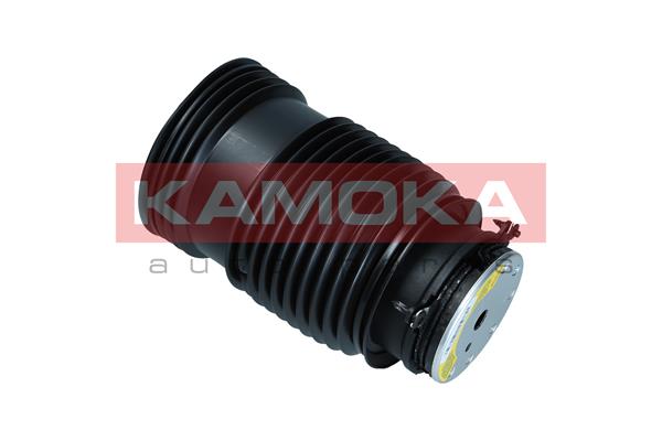 Air Spring, suspension 3